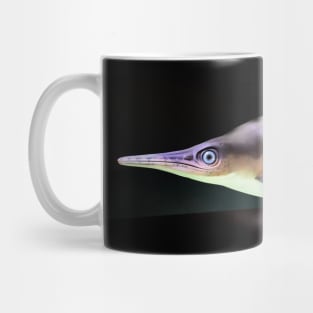 Fisch Dinosaurer / Swiss Artwork Photography Mug